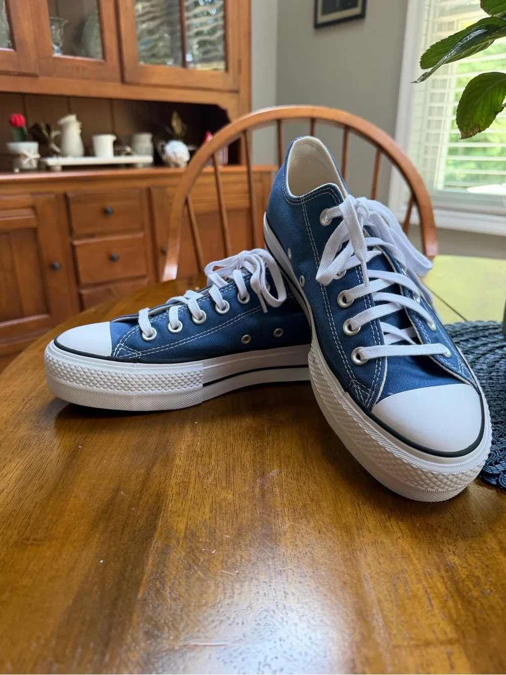 Converse Low Top Sneakers in Navy and White